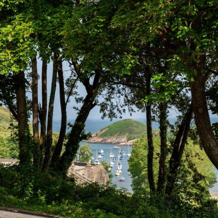 Photo of Others in Watermouth