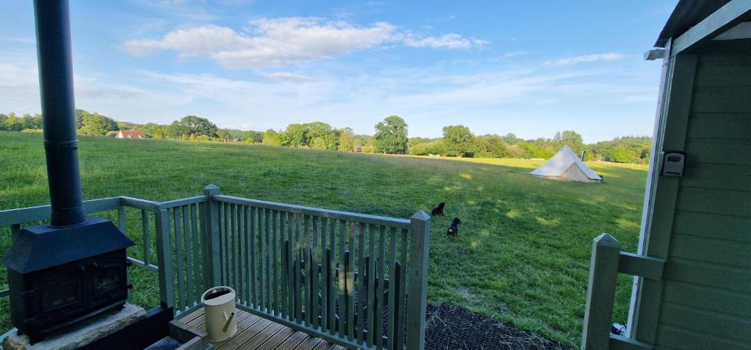 Photo of Others in New Forest District