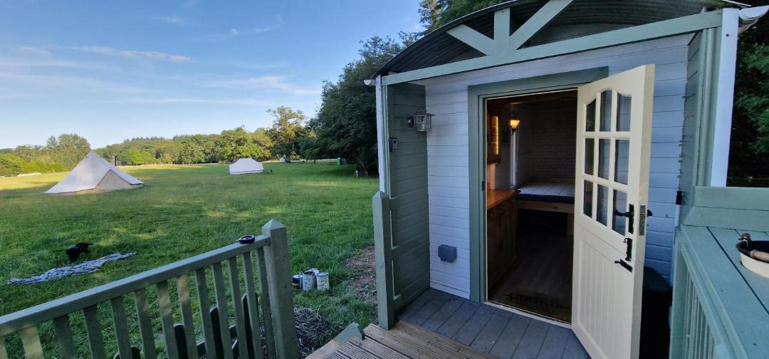 Photo of Others in New Forest District