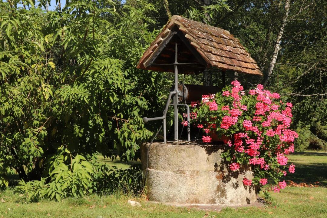 Photo of Others in Mery-sur-Cher