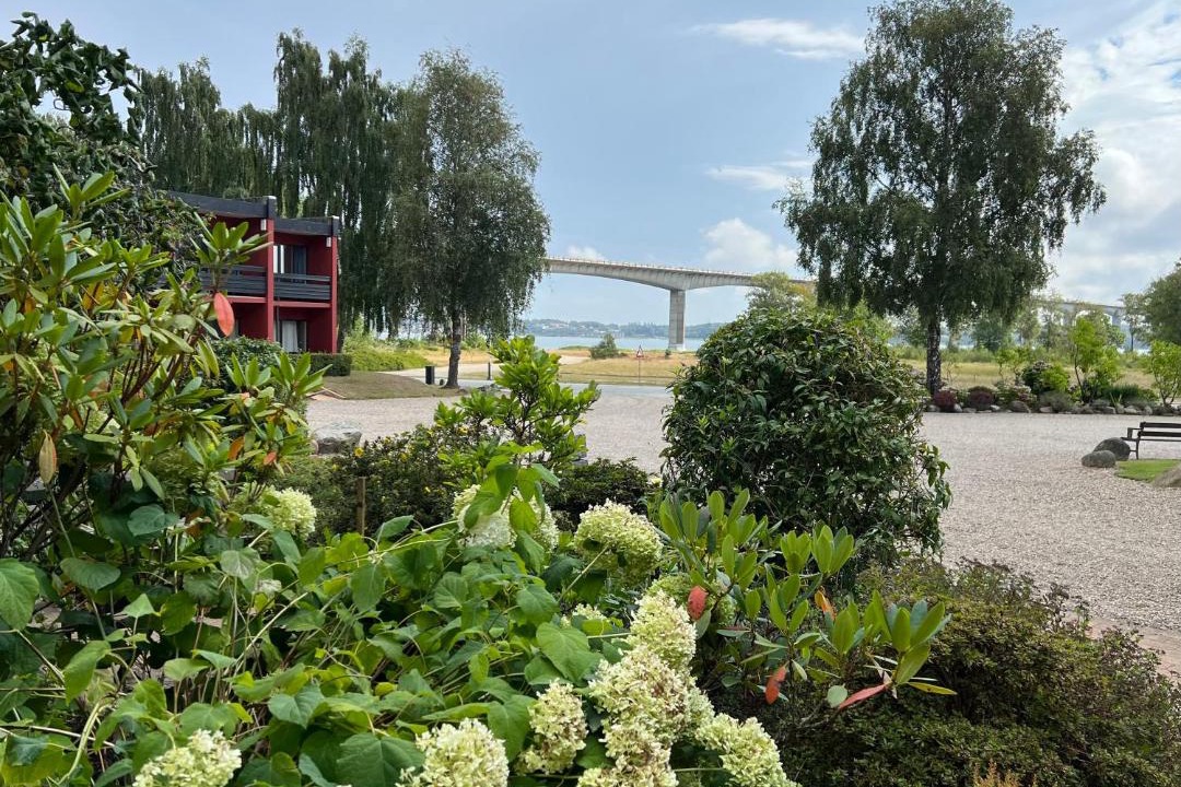 Photo of Others in Ronbjerg