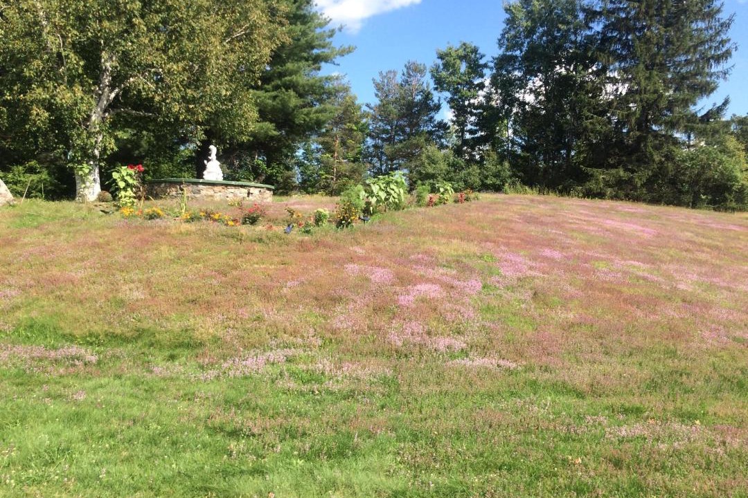 Photo of Others in Windham
