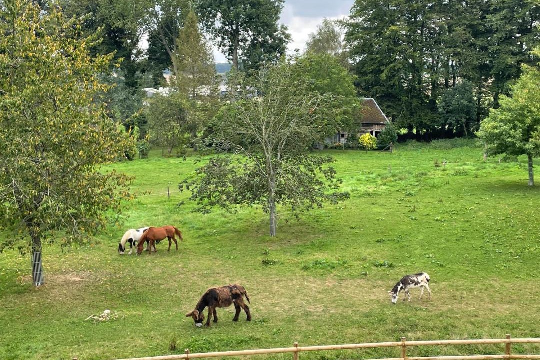 Photo of Others in Benarville