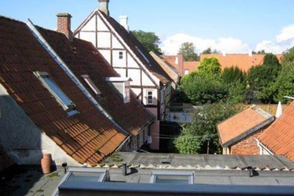Photo of Buildings in Aeroskobing