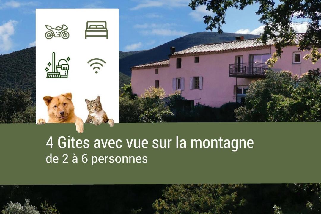 Photo of Others in Felluns