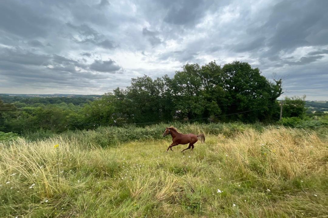 Photo of Others in Sarge-sur-Braye