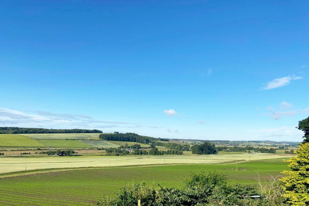 Photo of Others in Murthill