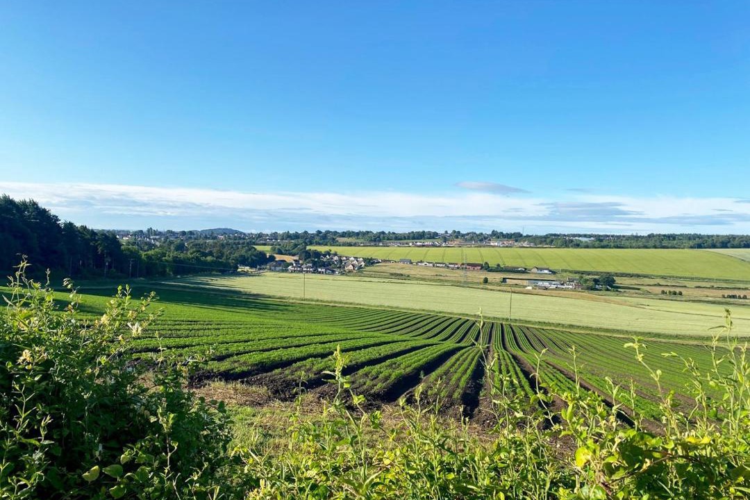 Photo of Others in Murthill