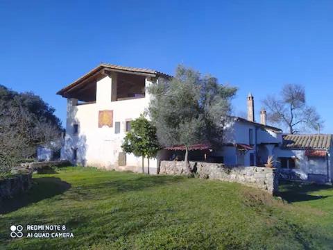 Photo of Buildings in Serinya