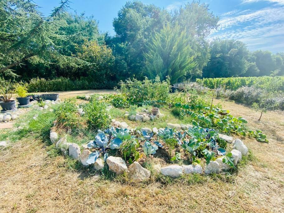 Photo of Outdoor in Jau-Dignac-et-Loirac