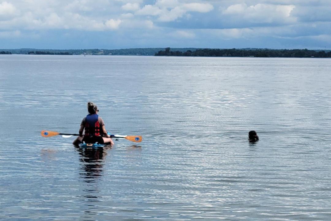 Photo of Human In Picture in Howe Island