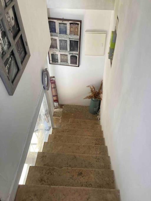 Photo of Others in La Chapelle-Saint-Andre