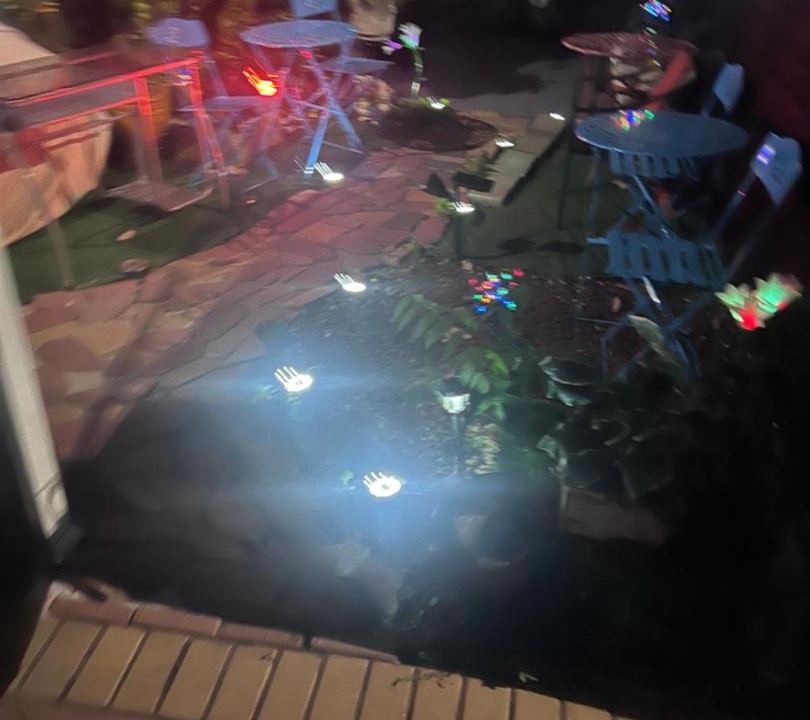 Photo of Others in East New York