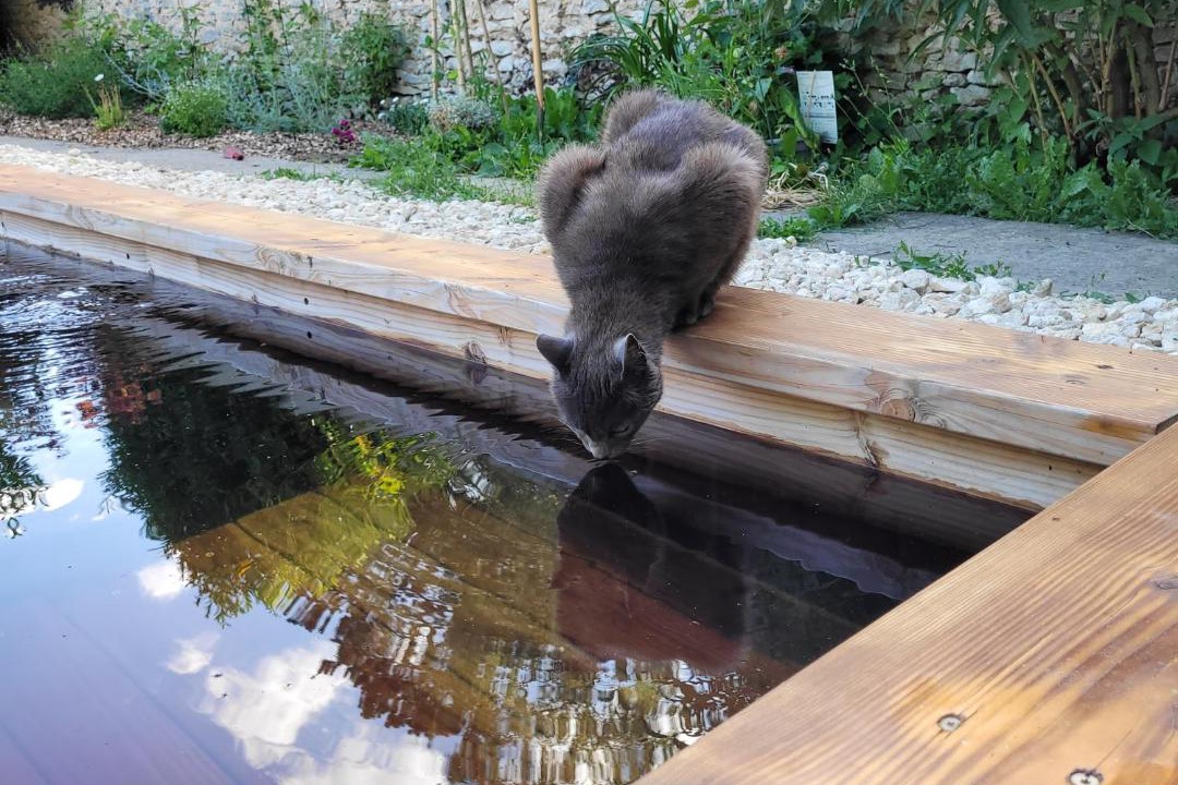 Photo of Others in Richebourg