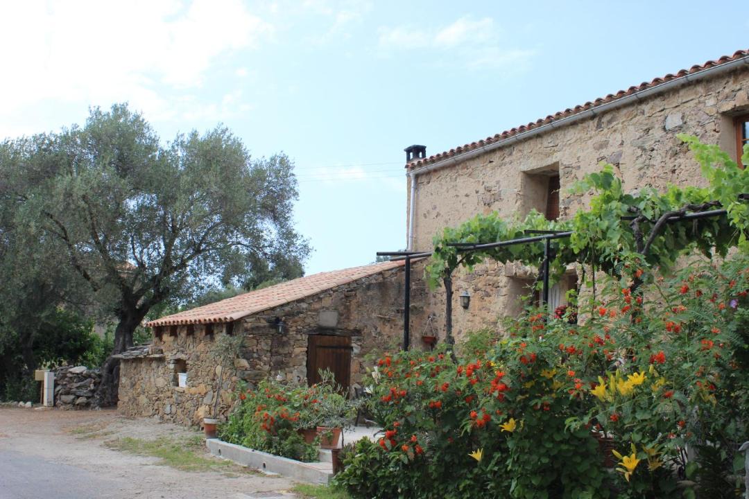 Photo of Buildings in Palasca