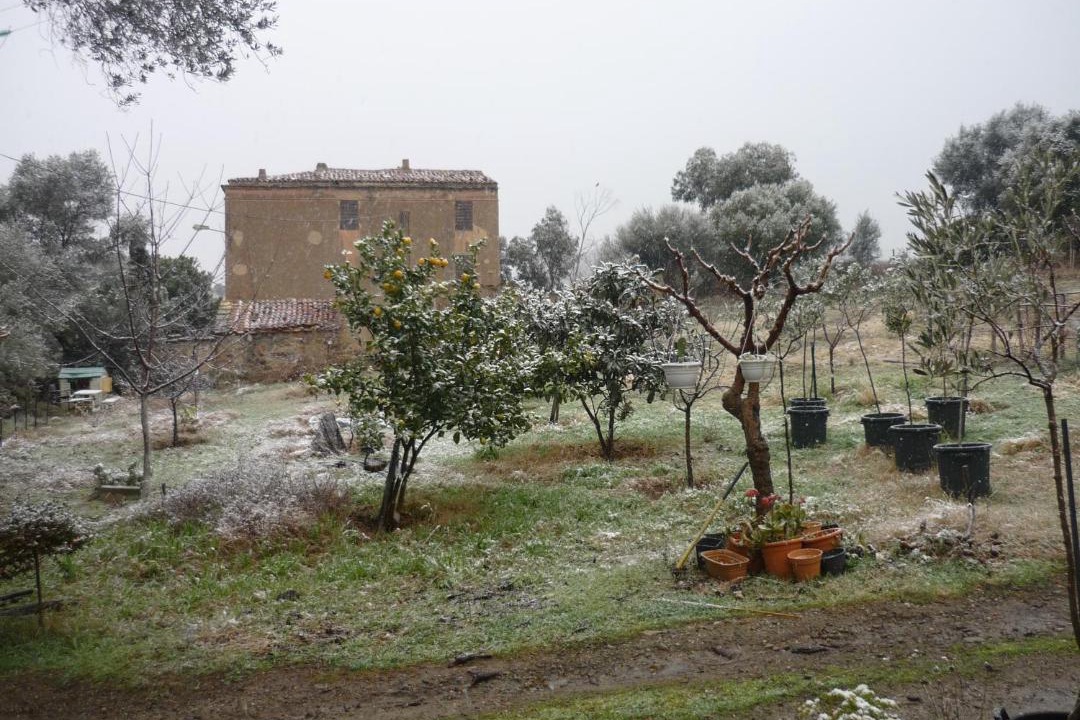 Photo of Others in Palasca