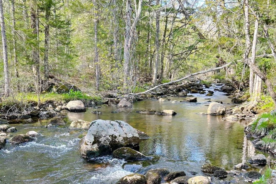 Photo of Others in Ellsworth