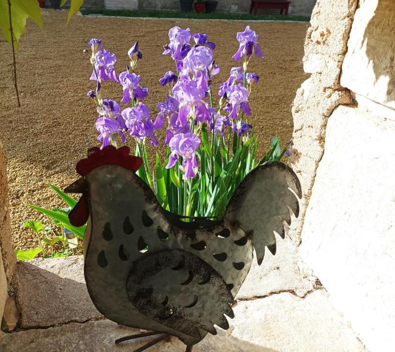 Photo of Others in Avanton