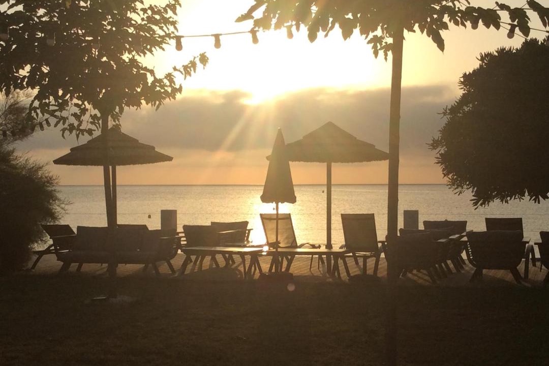 Photo of Others in Sisco