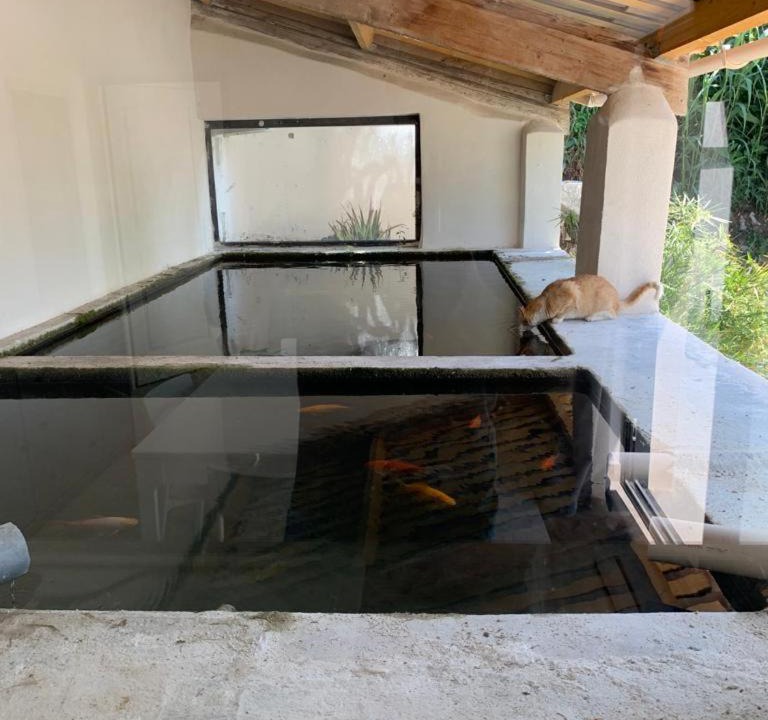 Photo of Others in Nyons