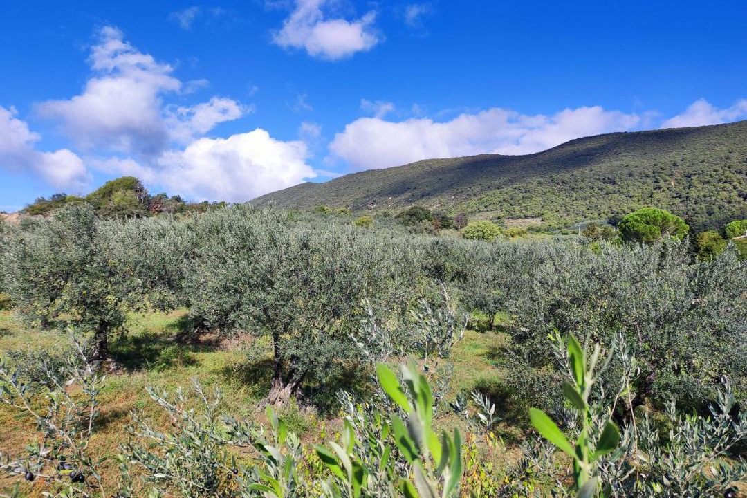 Photo of Others in Nyons