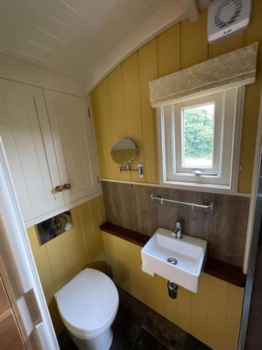 Photo of Bathroom in Todber