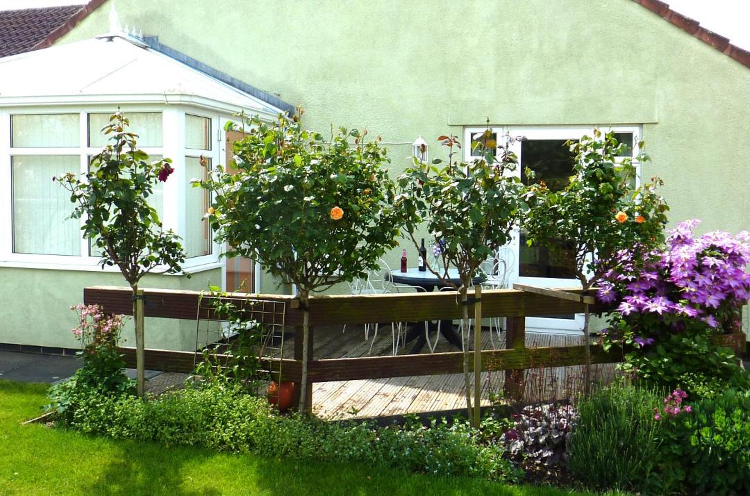 Photo of Others in Newborough