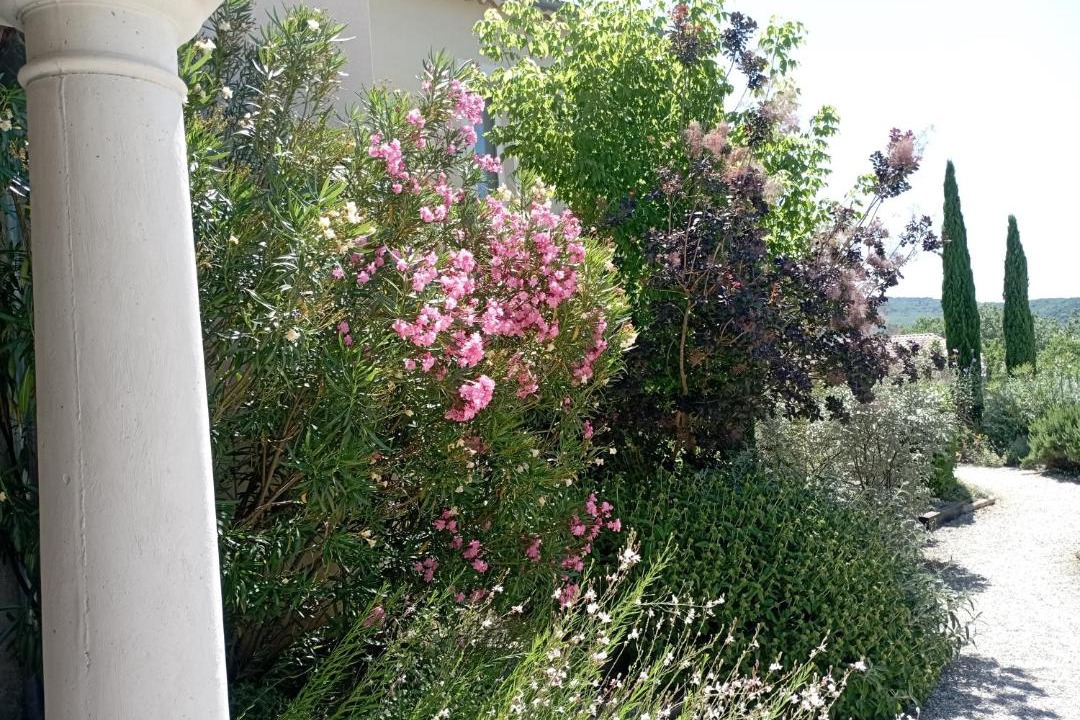 Photo of Others in Vogue