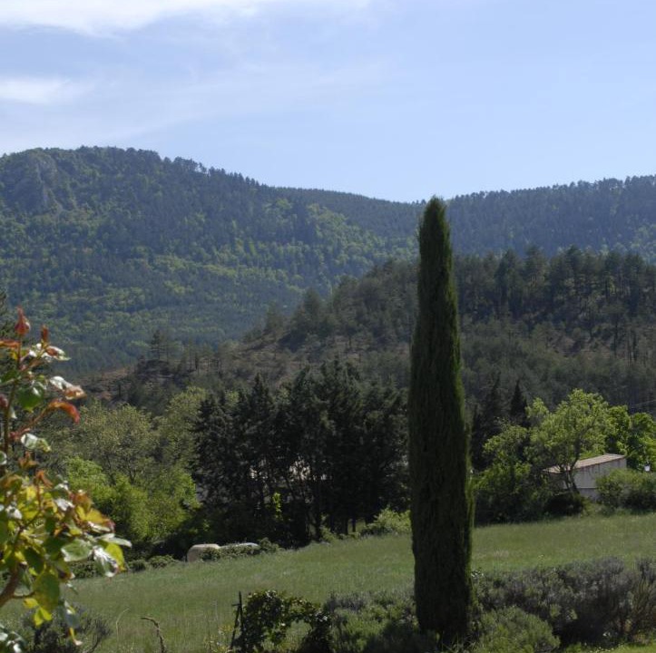 Photo of Others in Arques