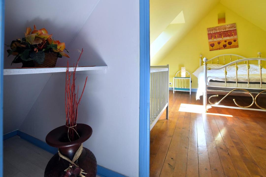 Photo of Others in Pluduno