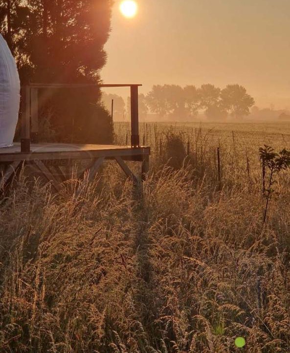 Photo of Others in Drincham