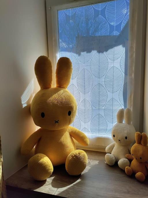 Photo of Others in Loiron-Ruille