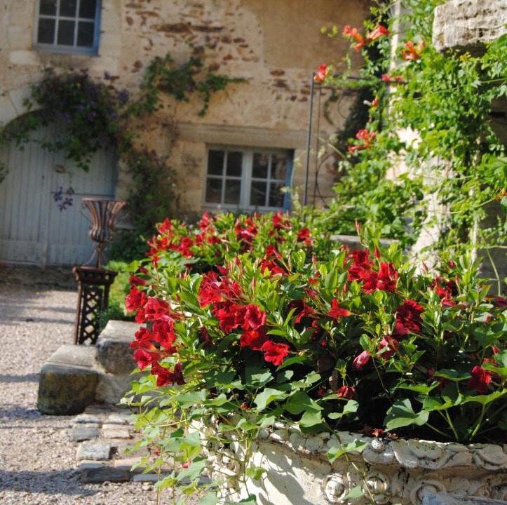 Photo of Others in Chezelle