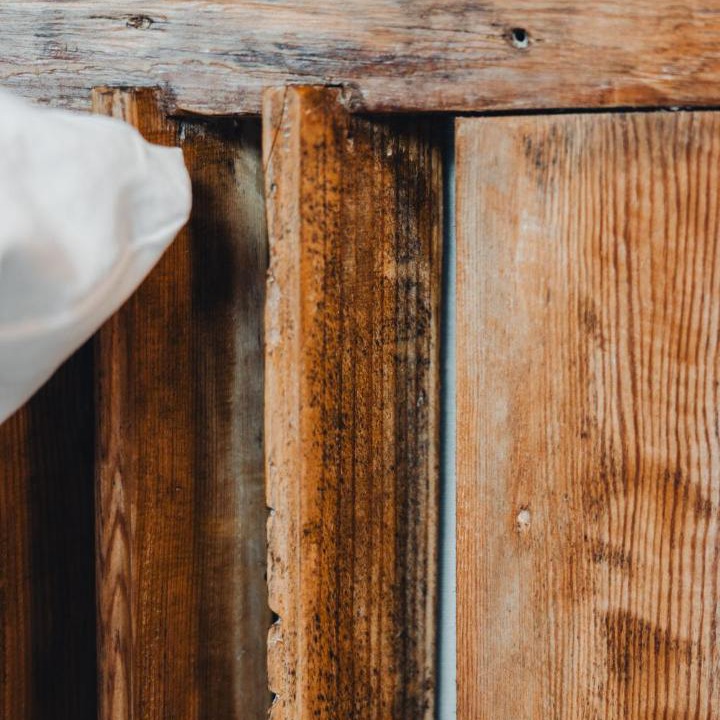 Photo of Others in Samer