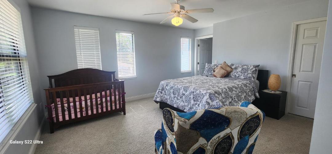 Photo of Others in Dolphin's Cove