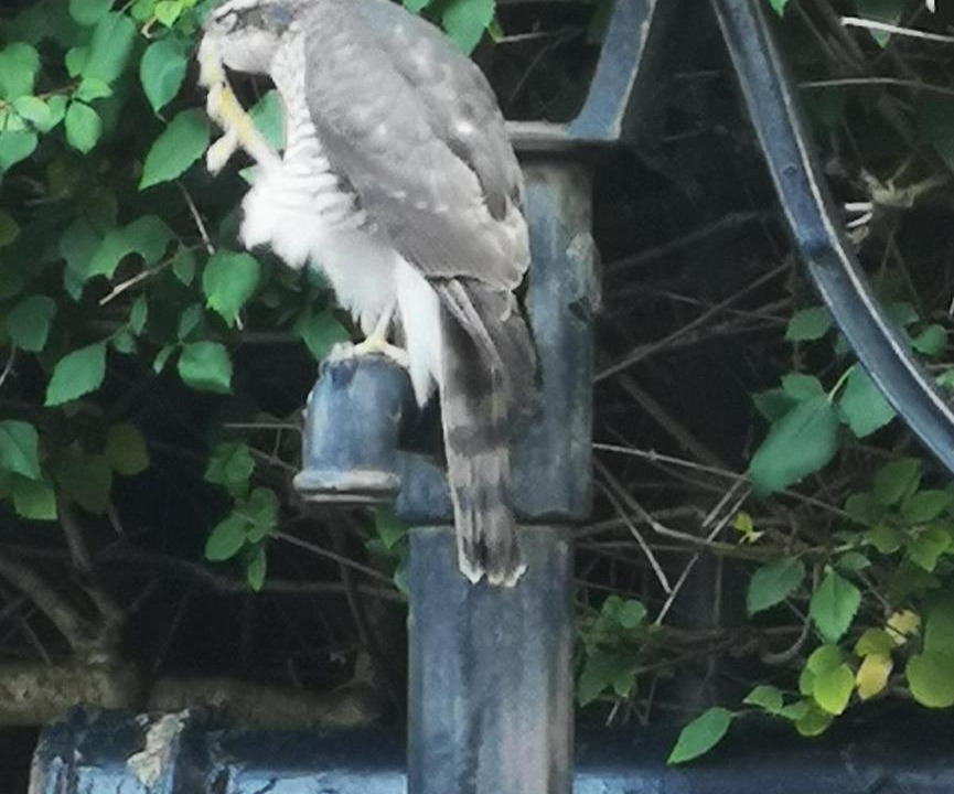 Photo of Others in Albrighton