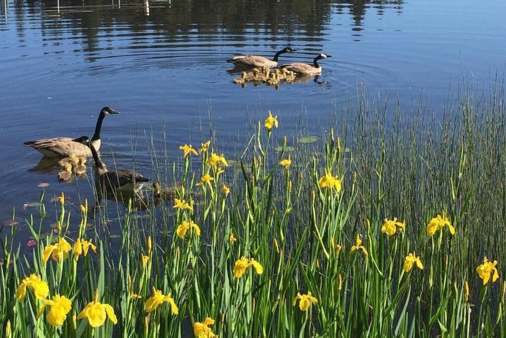 Photo of Others in Silverdale