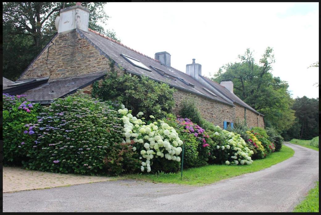 Photo of Others in Saint-Jacut-les-Pins