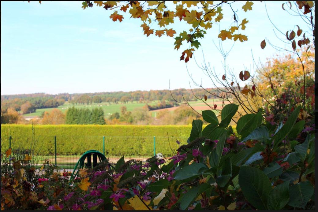 Photo of Others in Saint-Jacut-les-Pins