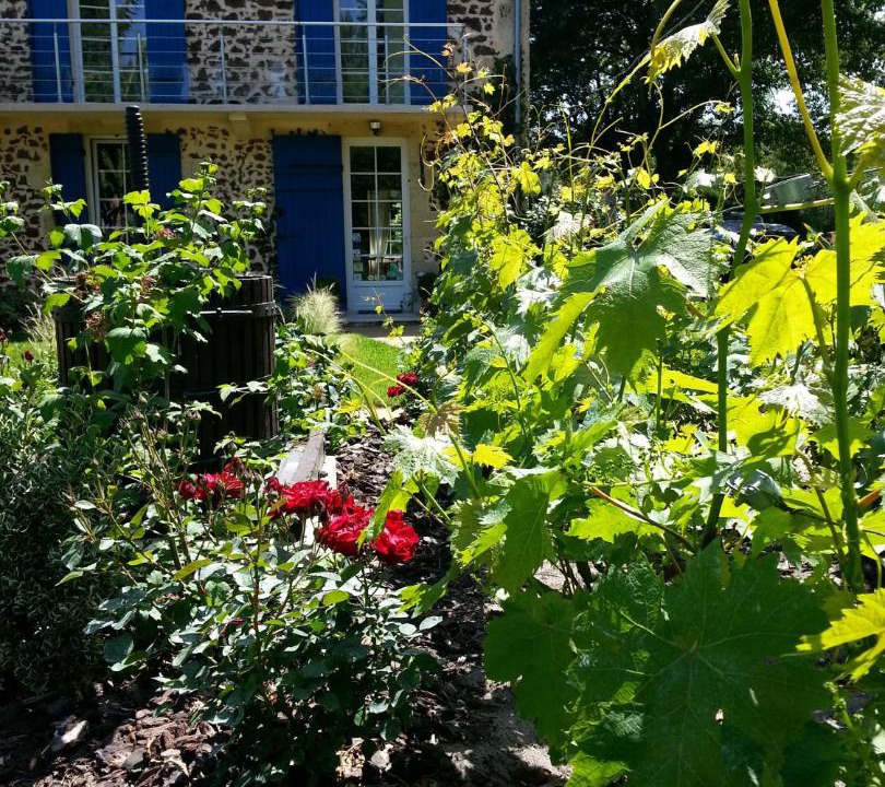 Photo of Others in Liposthey