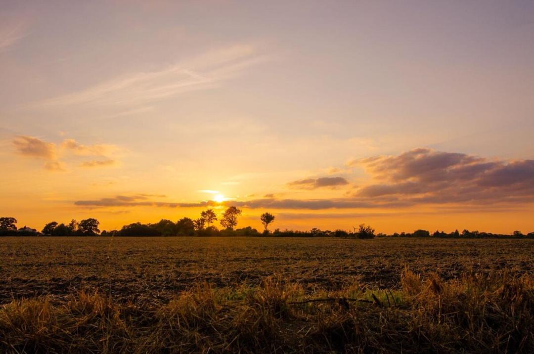 Photo of Others in Framlingham