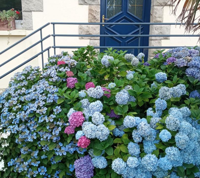 Photo of Others in Tramain