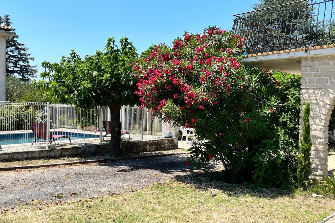 Photo of Others in Saint-Paul-Trois-Chateaux