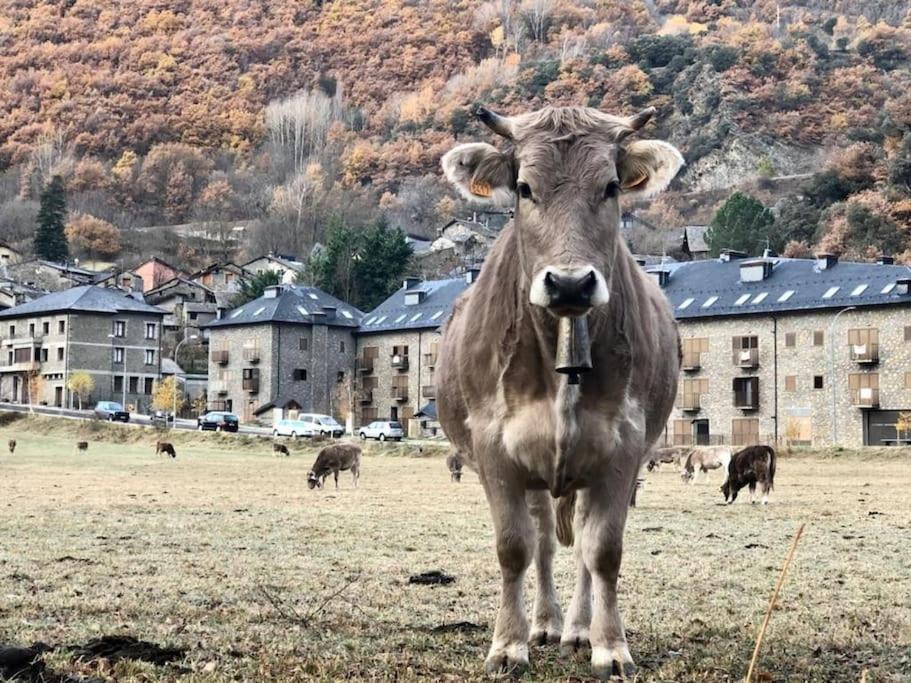 Photo of Others in Vall de Cardos