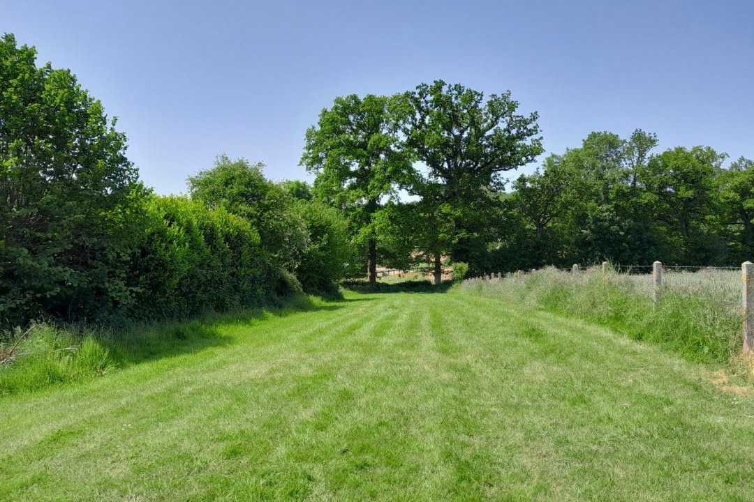 Photo of Others in Taillebois