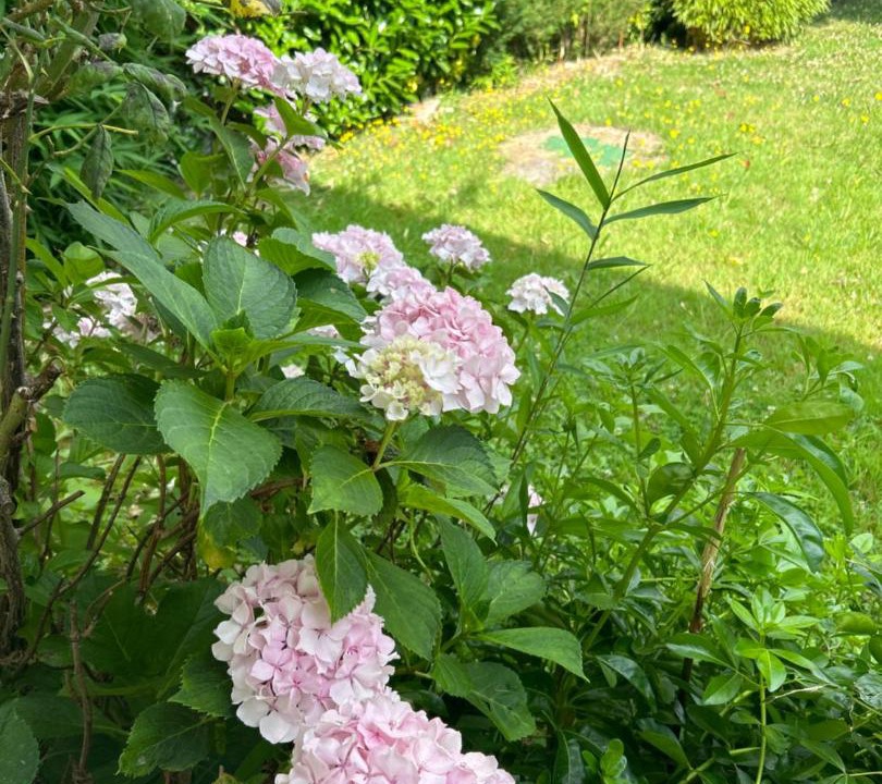 Photo of Outdoor in Eguzon-Chantome