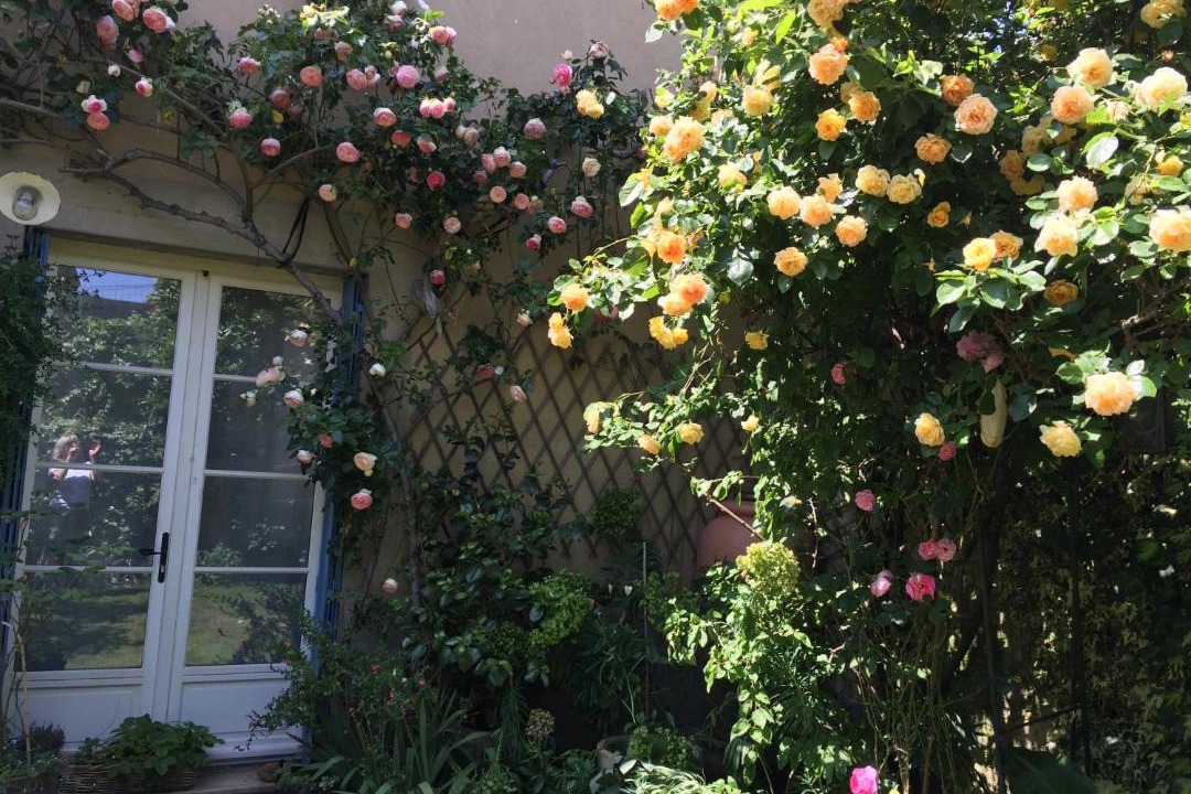 Photo of Others in La Fleche