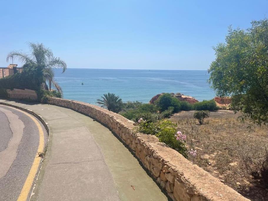 Photo of Outdoor in Dehesa de Campoamor