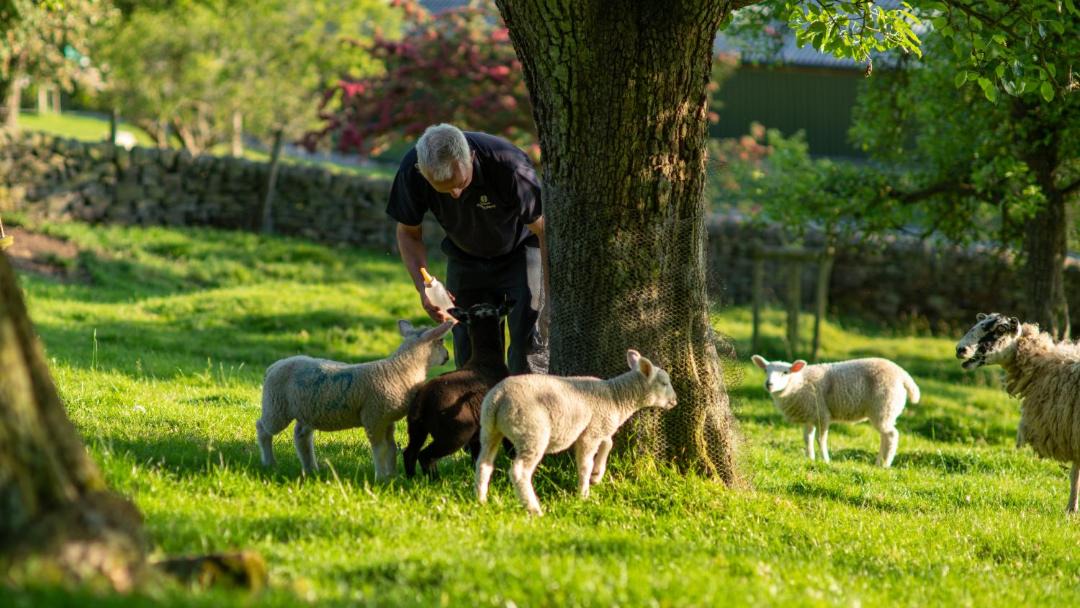 Photo of Others in Beeley