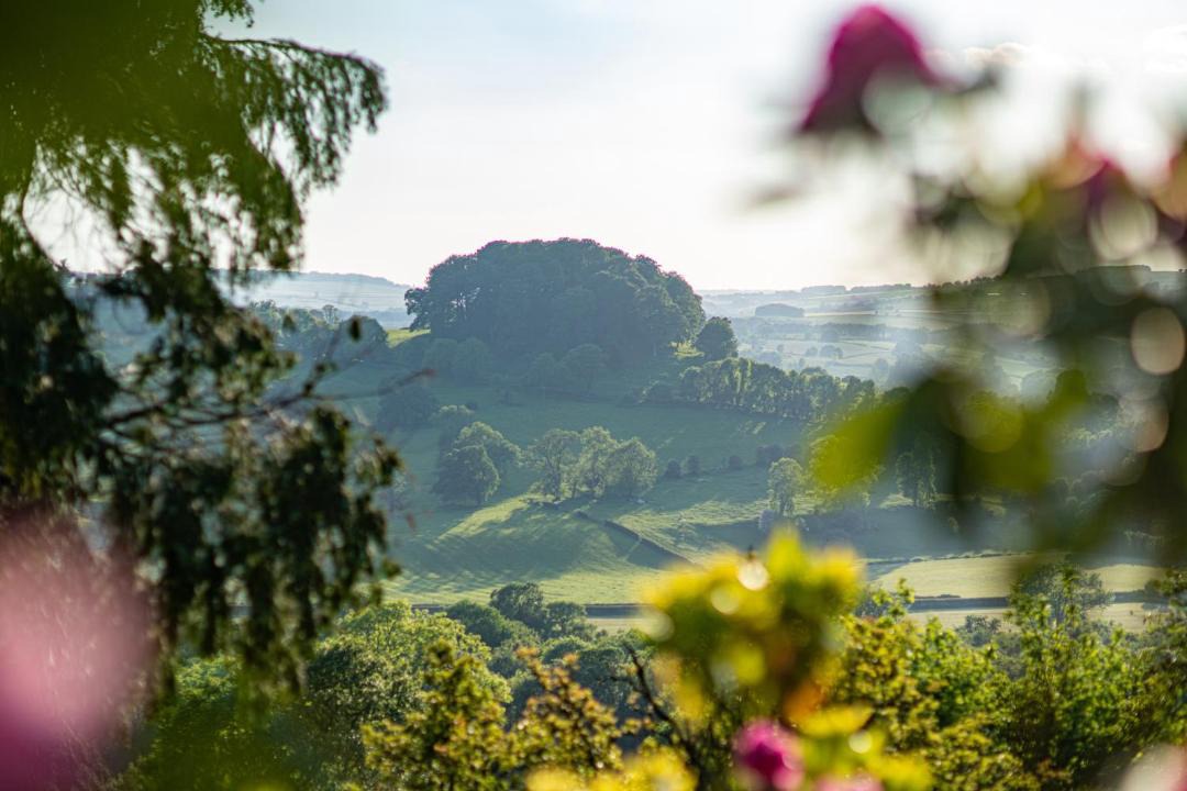 Photo of Others in Beeley